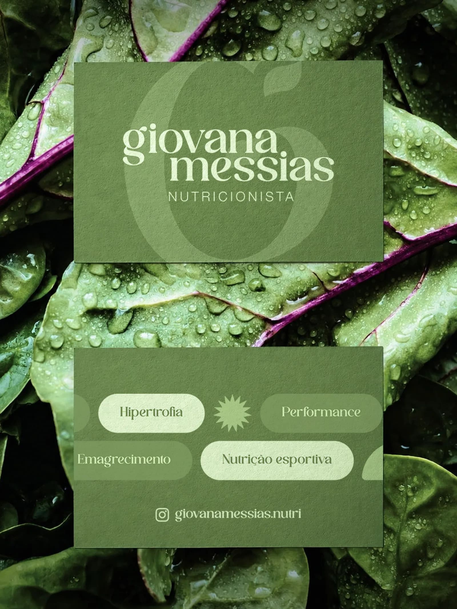 Cartão de visita da marca Giovana Messias sobre folhas verdes